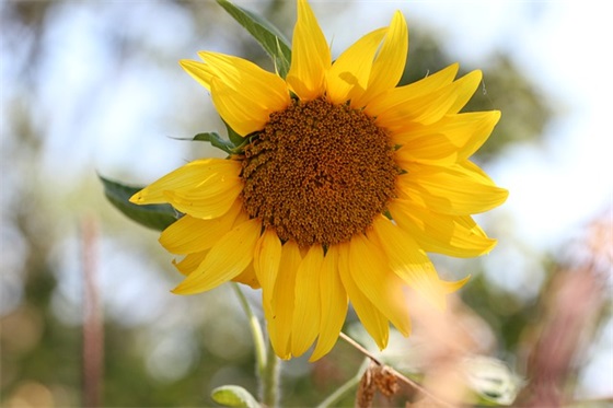 歌曲大赛宣传口号53句