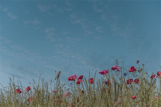 含有空气的环保标语42句