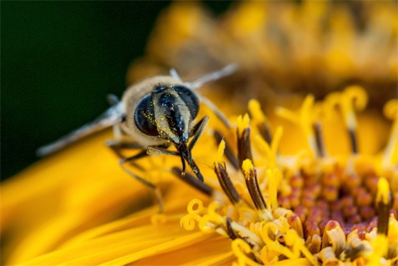 2026年关于健康养生的口号 中医健康养生的口号