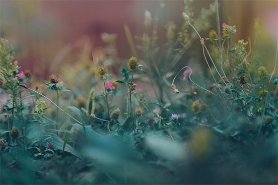 环保主题运动会口号(既有创意又环保的运动会口号)