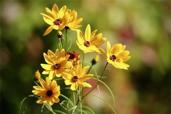 社区文明的宣传标语(社区清明节文明祭祀宣传标语)