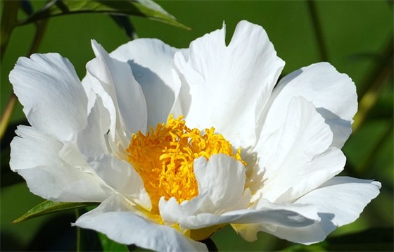 文明出行”交通安全标语 “关爱生命