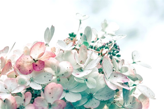 办公室节能环保标语43句