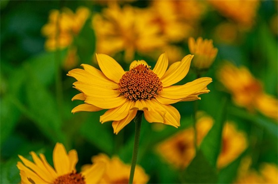 关于防火的宣传标语 防火宣传标语