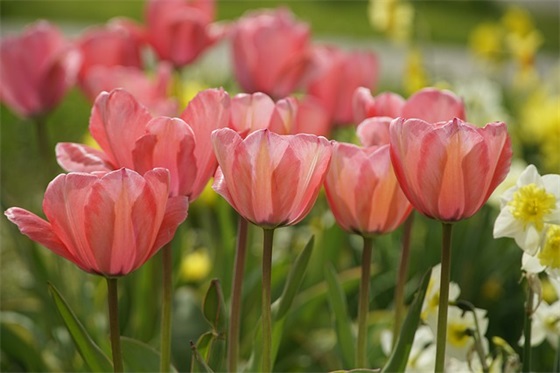 班级口号新颖 高中班级口号励志新颖