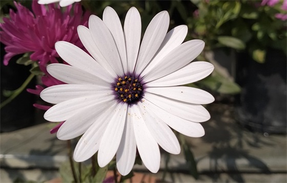 比赛押韵口号大全 比赛口号大全