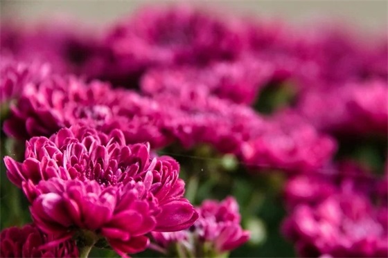 仓库精神口号大全42句