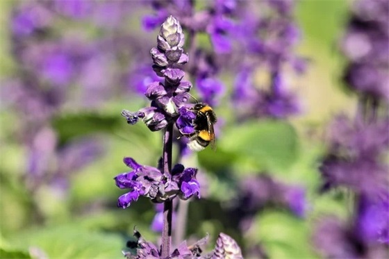 节约粮食拒绝浪费的宣传口号2026