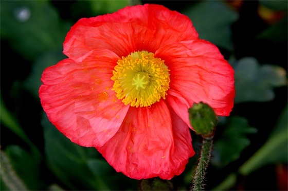 远离手机的经典句子 劝大家放下手机的标语