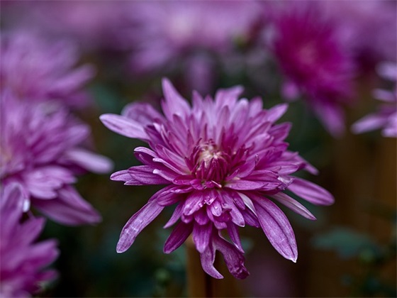 档案宣传口号38句