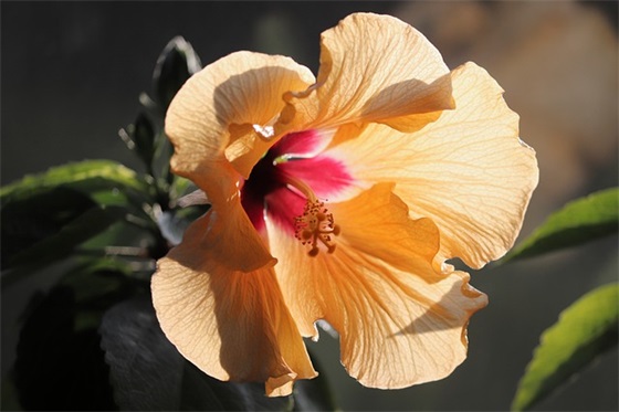 婚庆公司的宣传口号63句