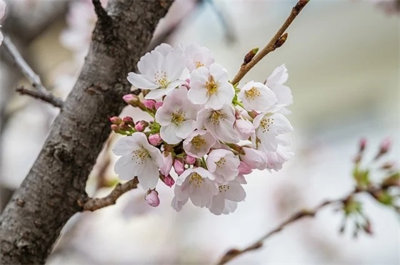 健康口号宣传语82句