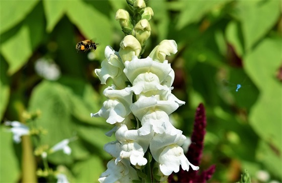 秋季运动会优越风采口号