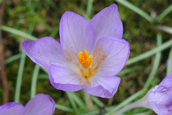 创业口号霸气82句