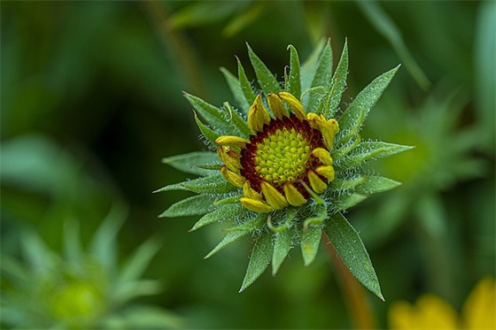 霸气点的班级口号89句