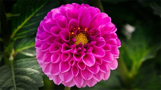 女儿一百天祝福语20句