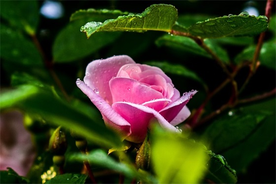 中考祝福语简短46句