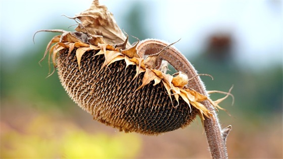 美容院开业的祝福语 美容店面开业的祝福语