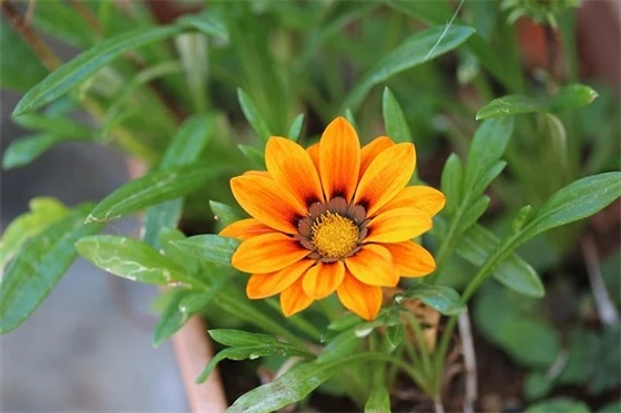 2026送给朋友的冬至祝福语