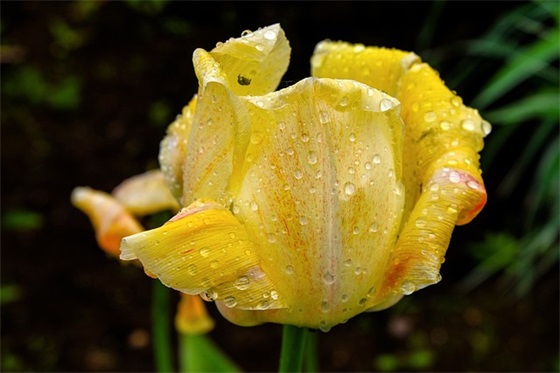 给司机的祝福语39句