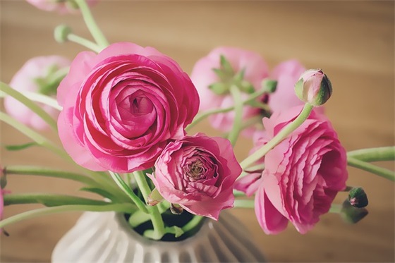 最新七夕甜蜜爱情祝福语