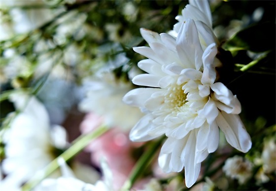 儿童节简短祝福语43句