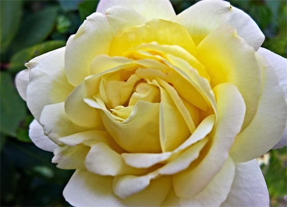 30年校庆祝福语16句