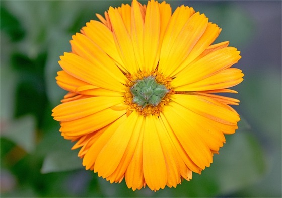 简短祝福语唯美十几个字