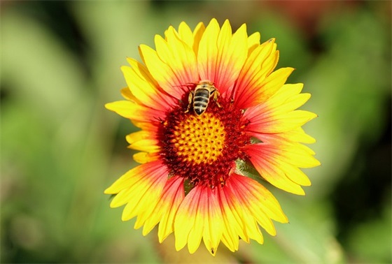 祝福祖国简短字 简短的祖国祝福语