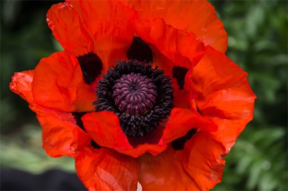 小宝贝生日祝福语