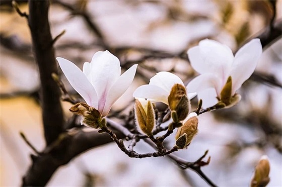 中考励志口号英语