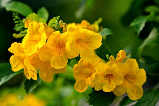 g20峰会安全横幅标语21句 g20峰会安全横幅标语21句