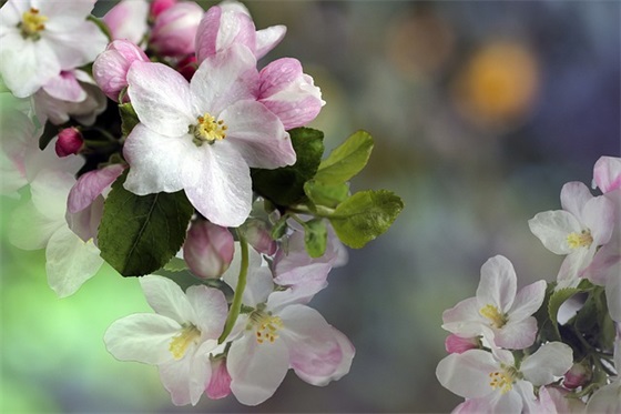 幼儿园秋季运动会口号