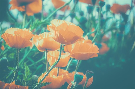 销售激励队名和口号