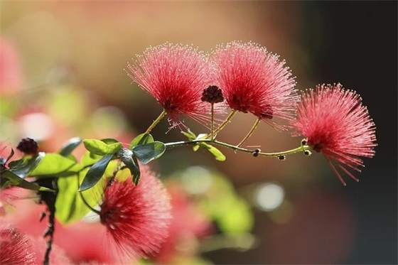 小组口号霸气押韵 销售