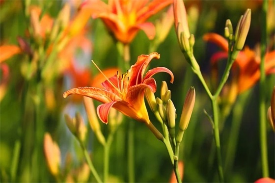 霸气口号励志句子 霸气口号励志句子