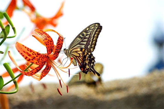 运动会的口号20句