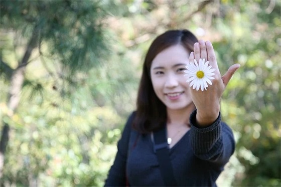 牛年开门红口号大全2026年