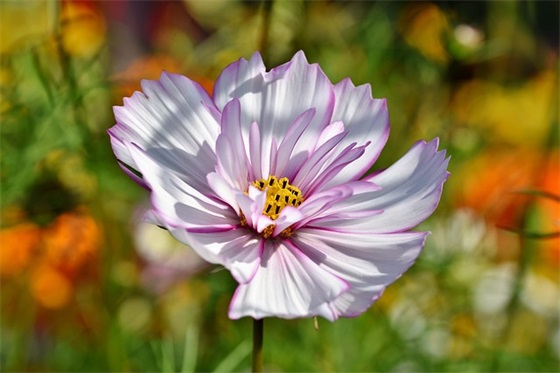 医院安全标语18句