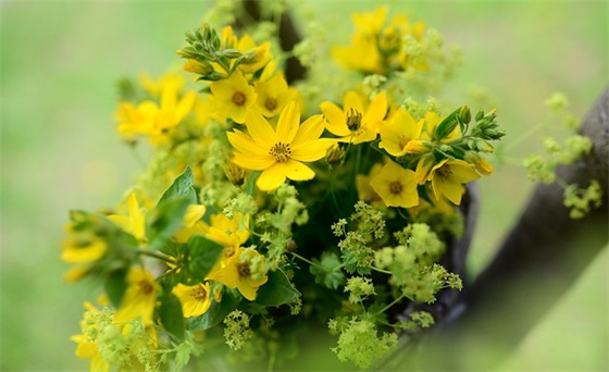 2026三八节标语大全