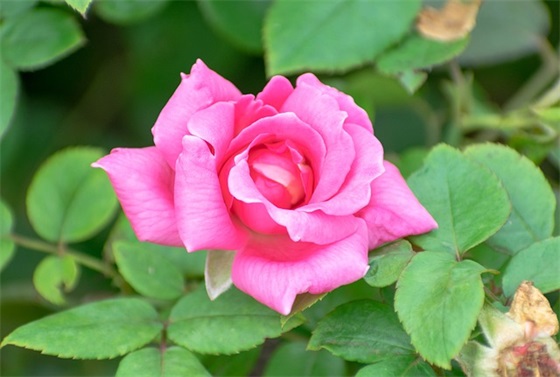 八个字口号霸气