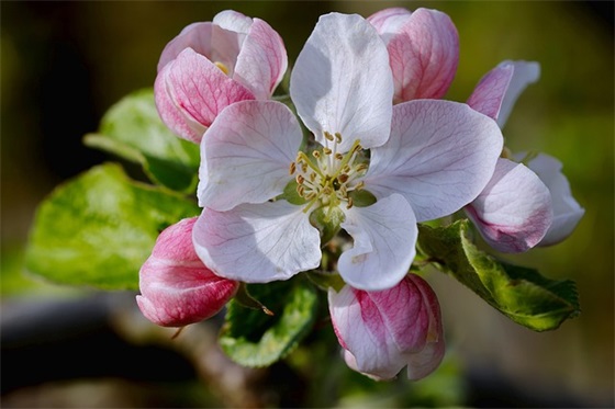 低碳生活宣传标语(低碳生活宣传标语具有校园气息)