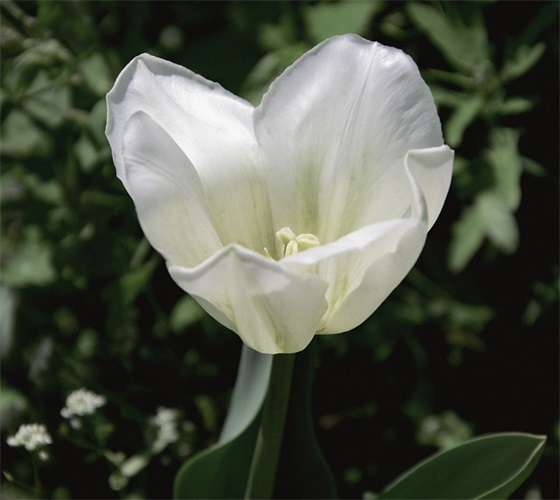 初中生运动会口号大全霸气十足