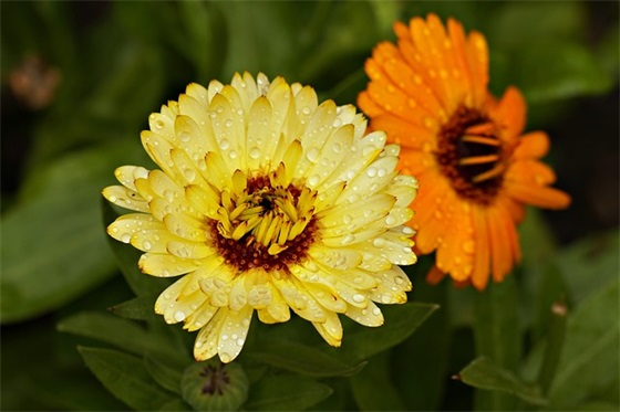 学校实验室的标语37句