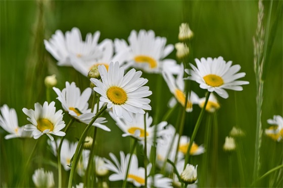 清源山旅游口号 清源山旅游投资公司