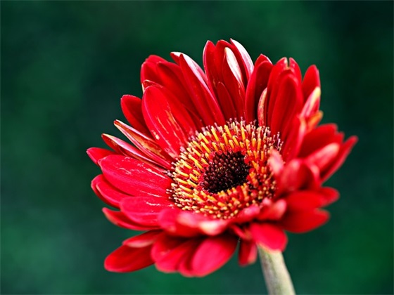 遵守交通规则标语大全