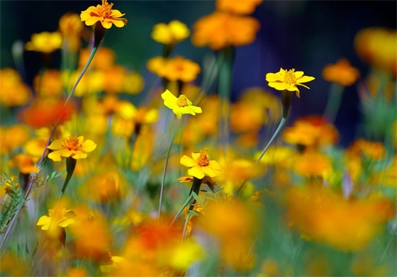 高层建筑消防安全宣传标语