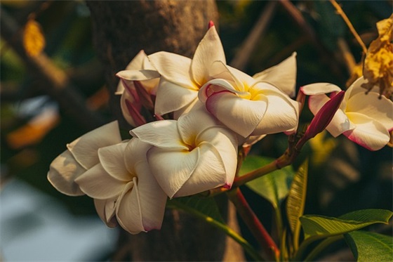 安全生产标语的口号