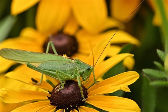 班级口号积极向上顺口精选 口号积极向上响亮