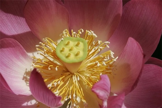 精选的节约用电标语大全